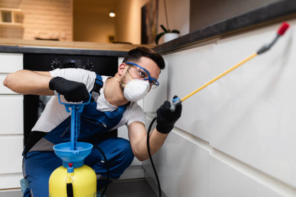 Best Rat Extermination Near Me  in Lenoir, NC