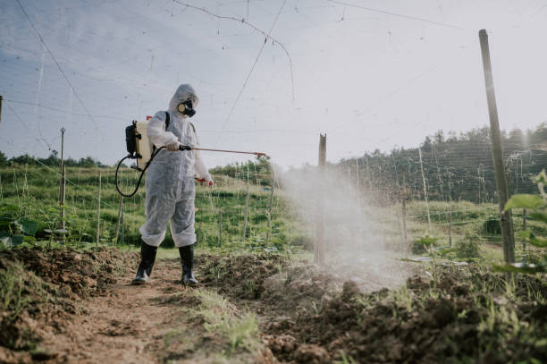 Best Pest Control Treatment  in Lenoir, NC