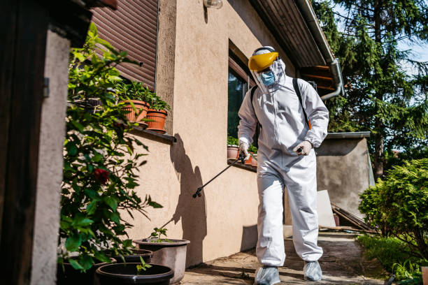 Best Insect Control  in Lenoir, NC