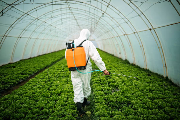 Best Pest Inspection Near Me  in Lenoir, NC