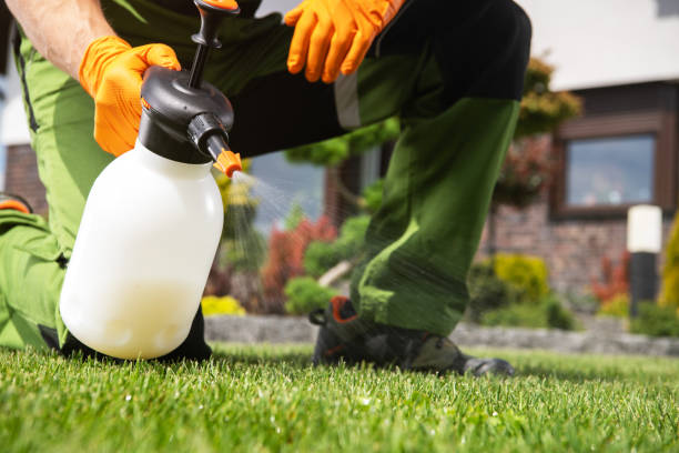 Best Local Pest Control Services  in Lenoir, NC