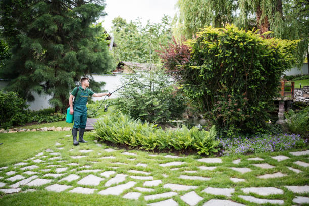 Best Pest Prevention Services  in Lenoir, NC