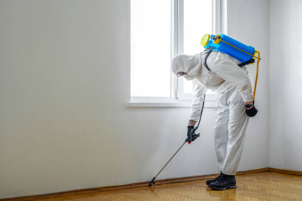Best Flea Control Services  in Lenoir, NC