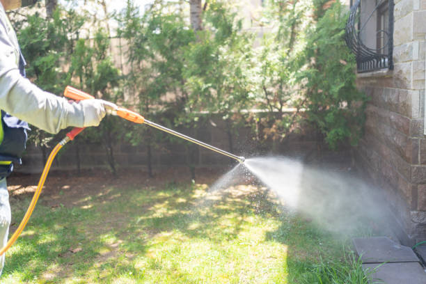 Best Residential Pest Control  in Lenoir, NC