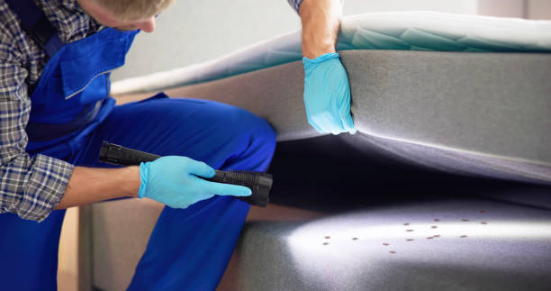 Best Pest Inspection Near Me  in Lenoir, NC