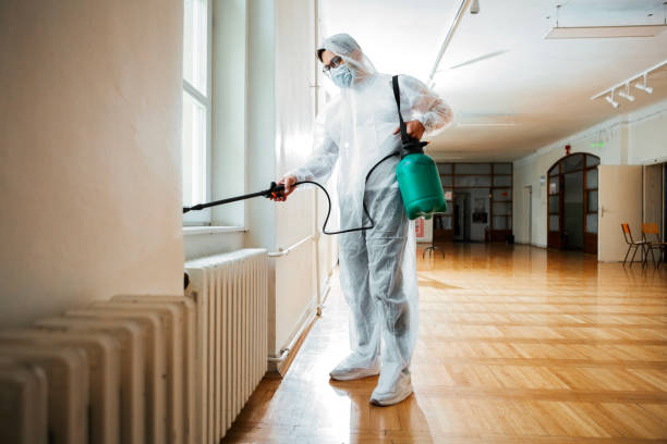 Best Ant Control Services  in Lenoir, NC