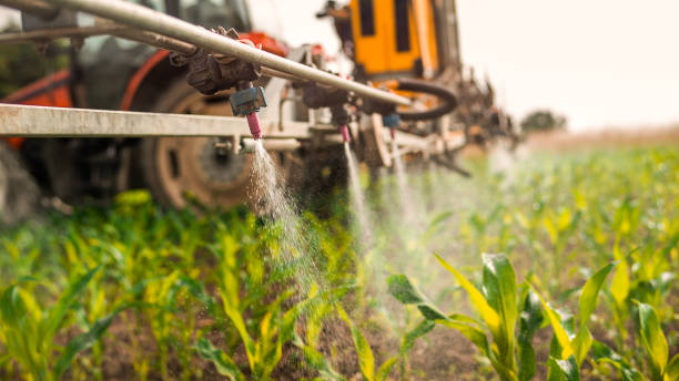 Reliable Lenoir, NC Pest Control Solutions